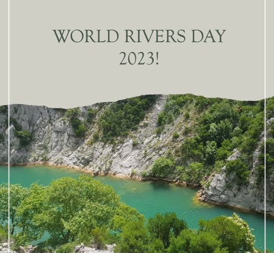 World River Day Small